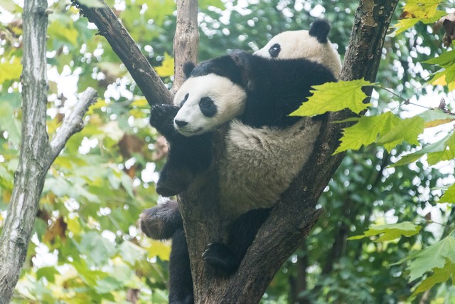 各地旅游形象宣传语原声,各省市旅游宣传语