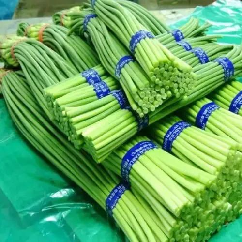 大名方言生僻字,菏泽县城生僻字