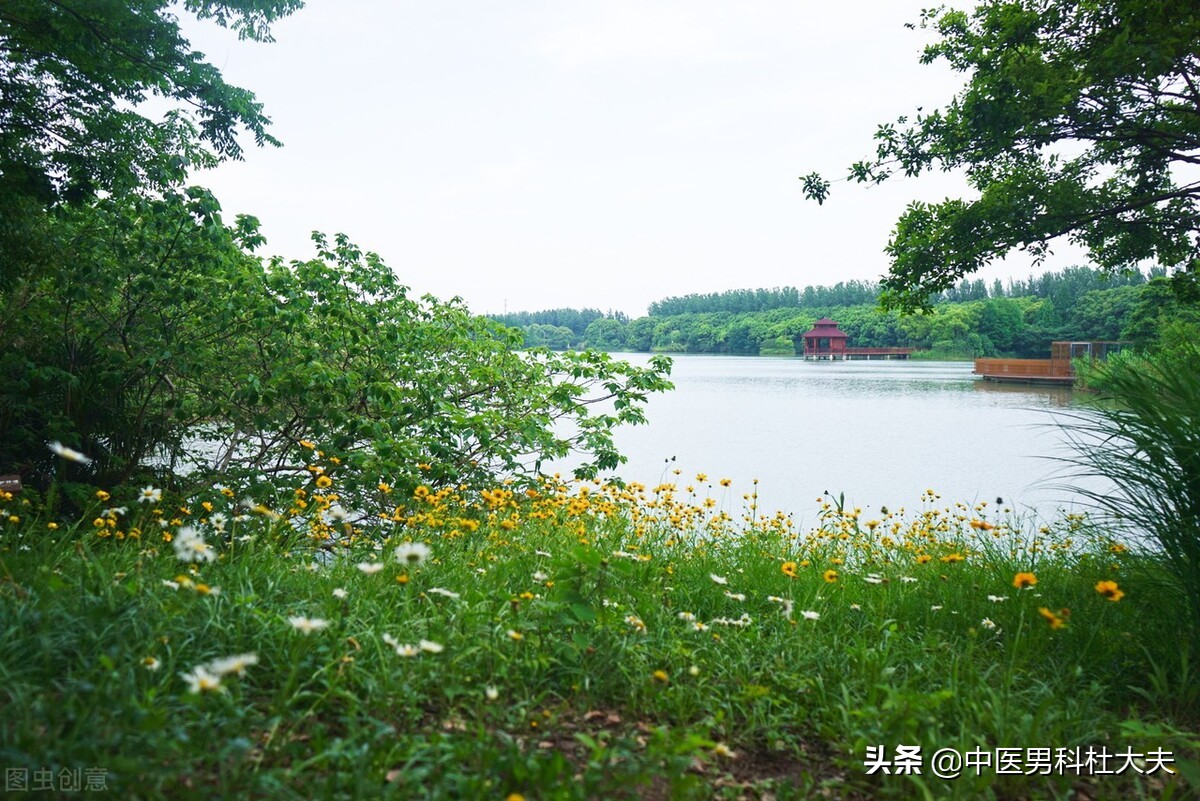 手瘾多年，阴阳两虚，时间短促，中医可以平补阴阳