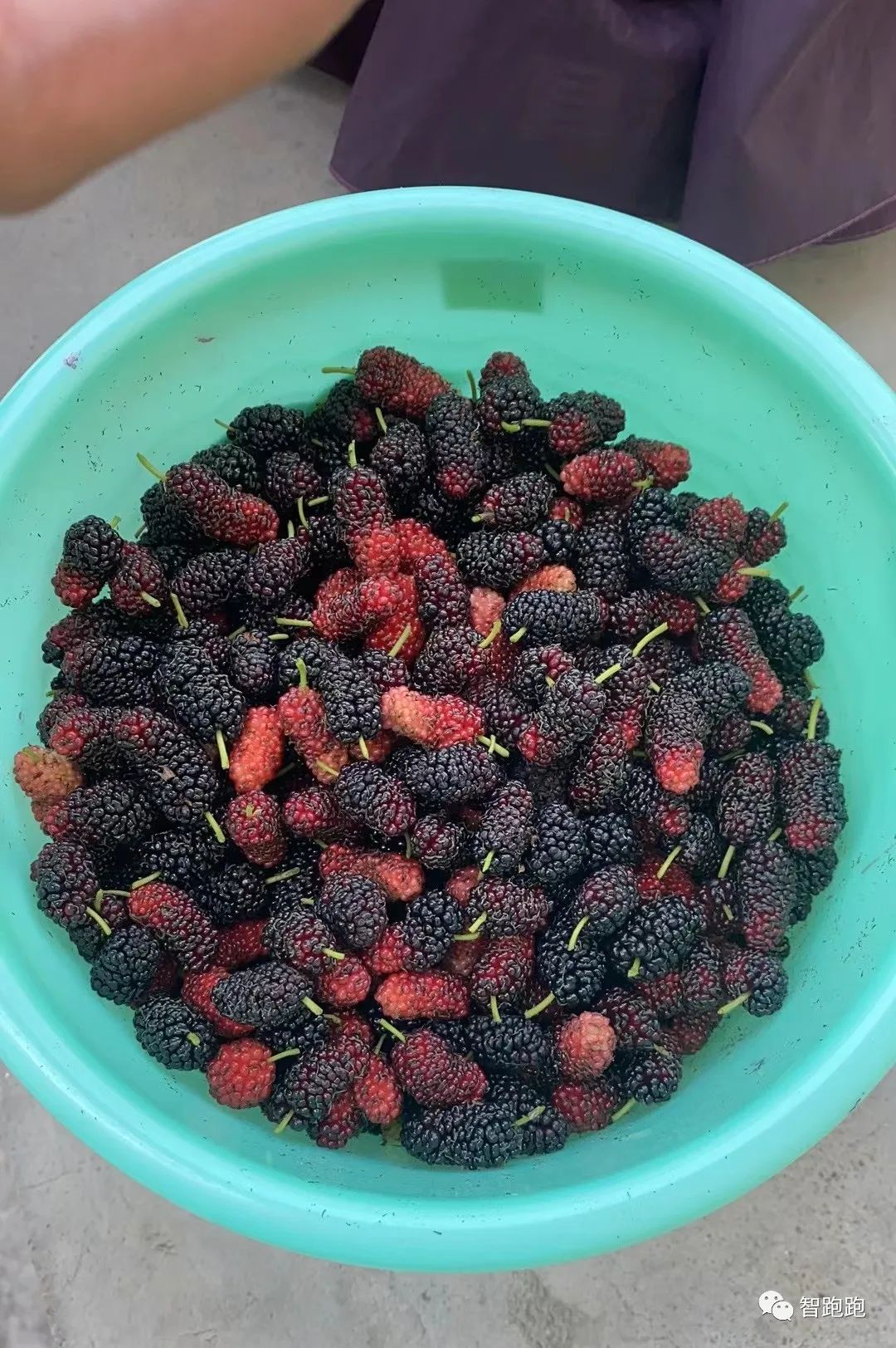 家庭自制章鱼小丸子,自制章鱼小丸子的做法步骤图