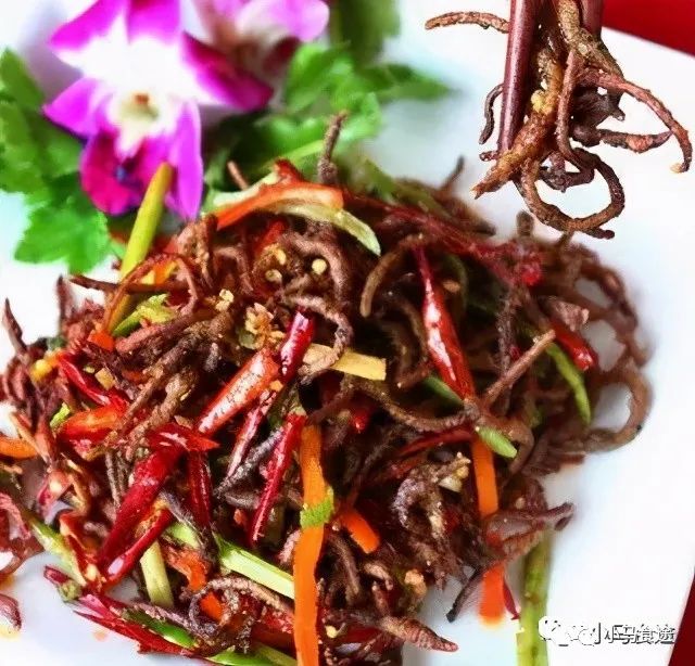 十种猪肉做法,猪肉的100种做法菜名