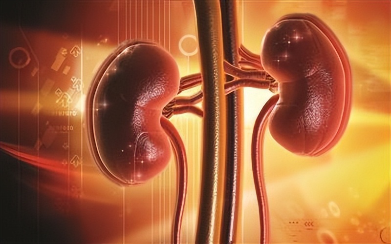 晚上不起夜跟起夜哪个更健康,晚上起夜vs不起夜究竟哪个更健康