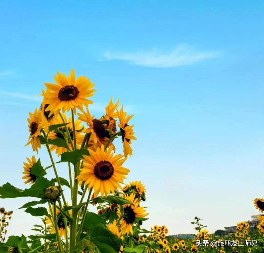 4天旅游广州周边景点攻略,人少景美的小众旅行地广东出发