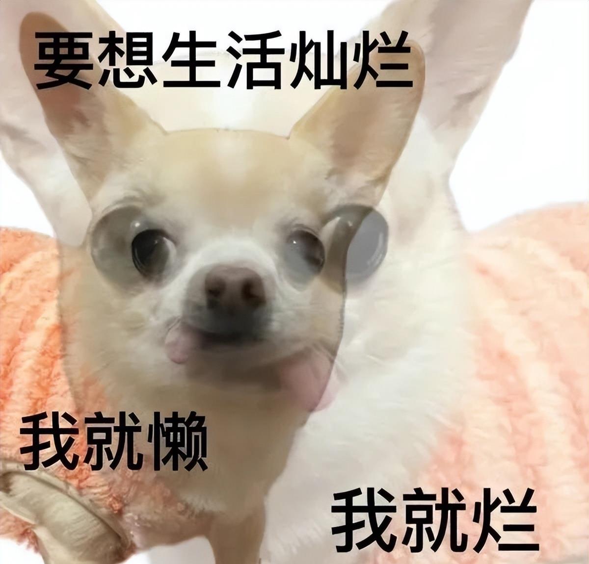 轻松塑造魅力四溢的吸睛全身照,全身照脸特别大