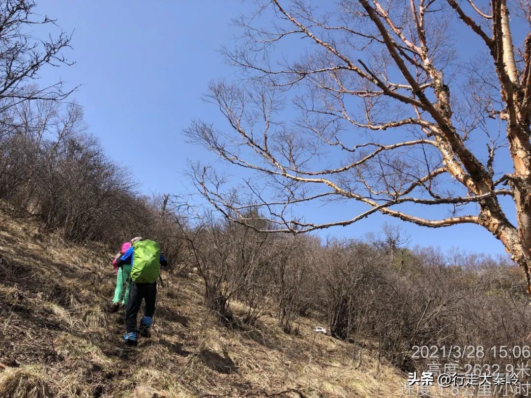 首阳山穿越大坪梁景色怎么样,大坪梁穿越到首阳山攻略