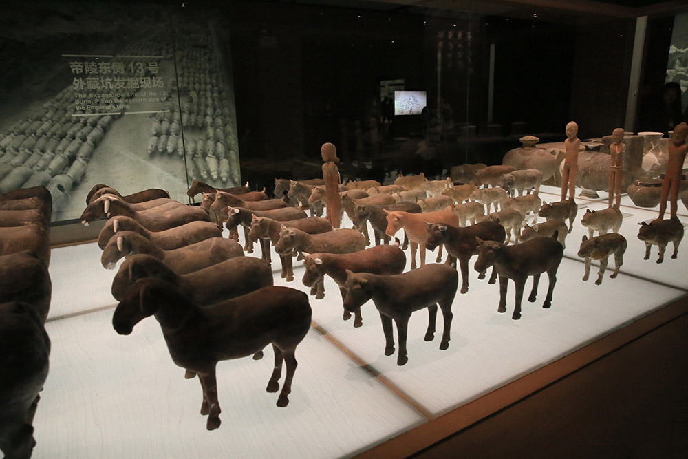 秦陵文官俑坑,阳陵陪葬坑