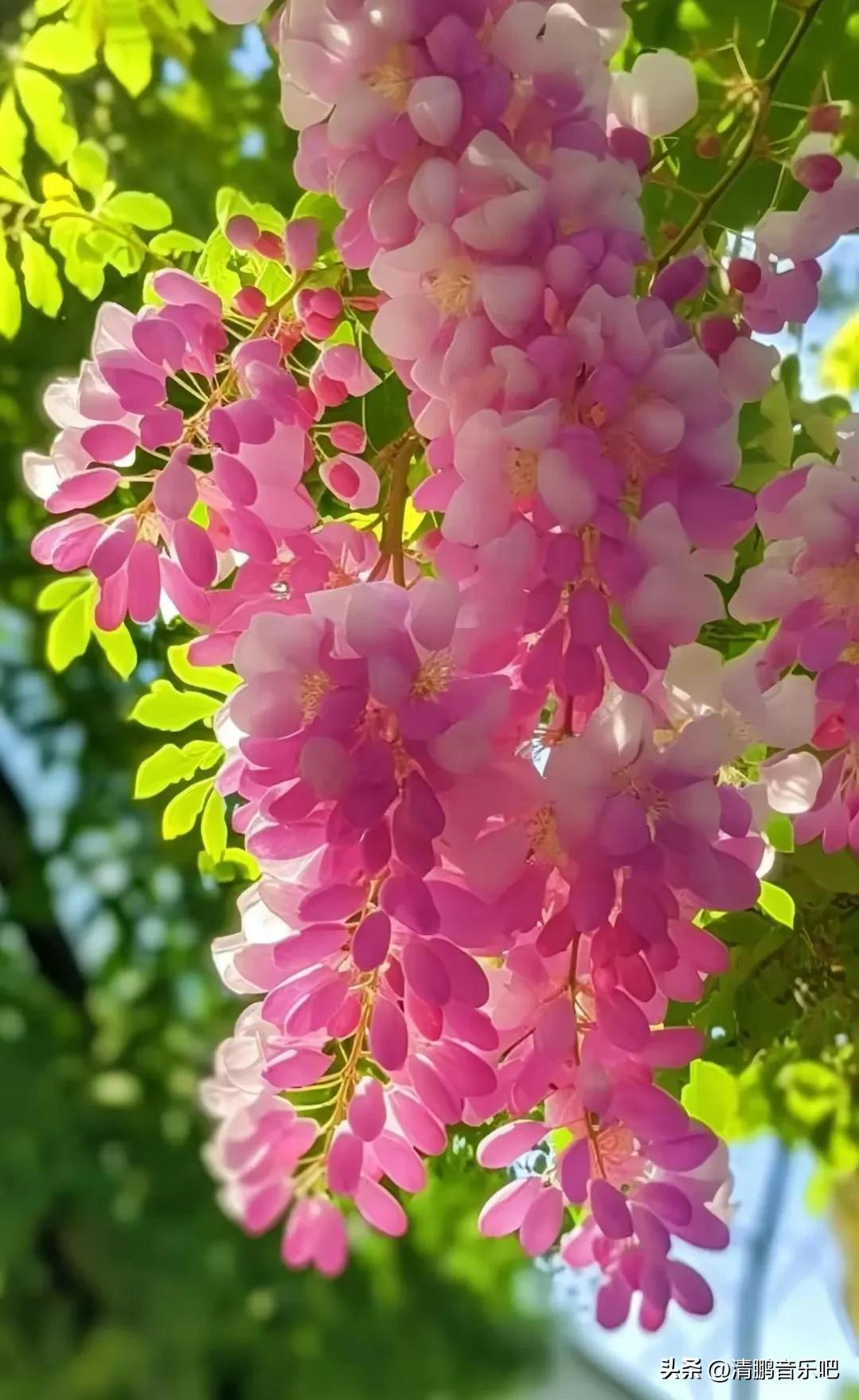 考研复习坚持不了怎么办,考研无望还有必要坚持下去吗