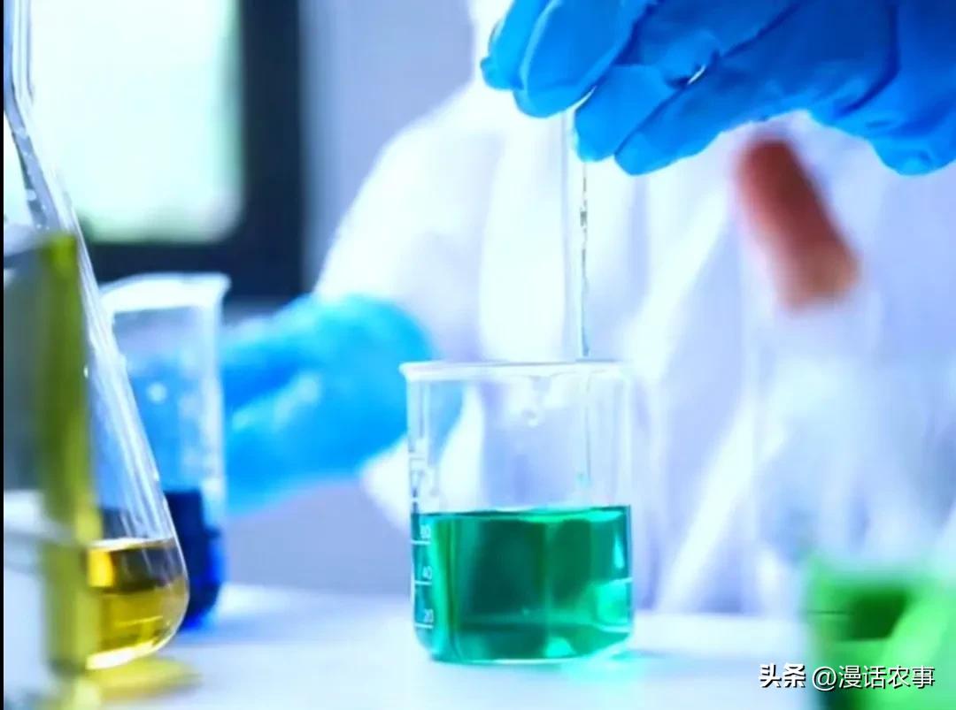 招虫子的大豆能吃了吗,大豆内的黑色小虫能吃吗