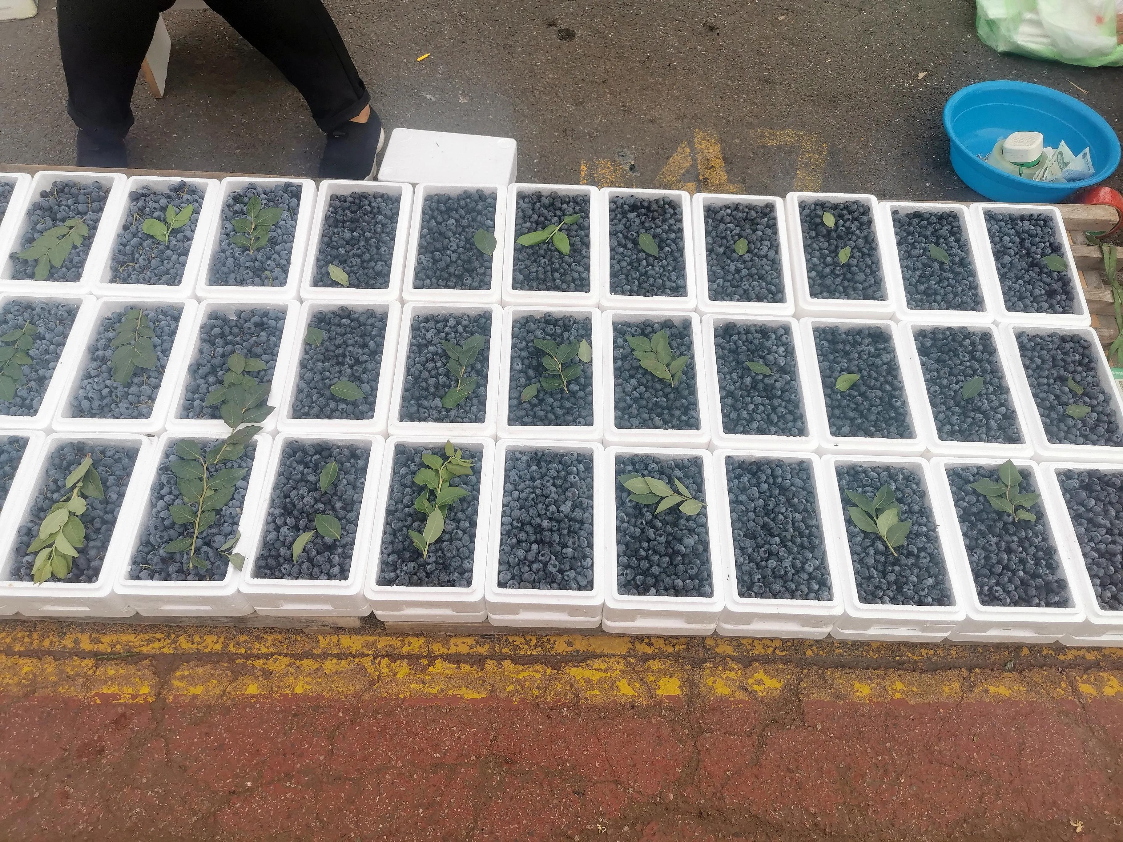 中国申请高句丽世界文化遗产遗址,高句丽历史文化遗址