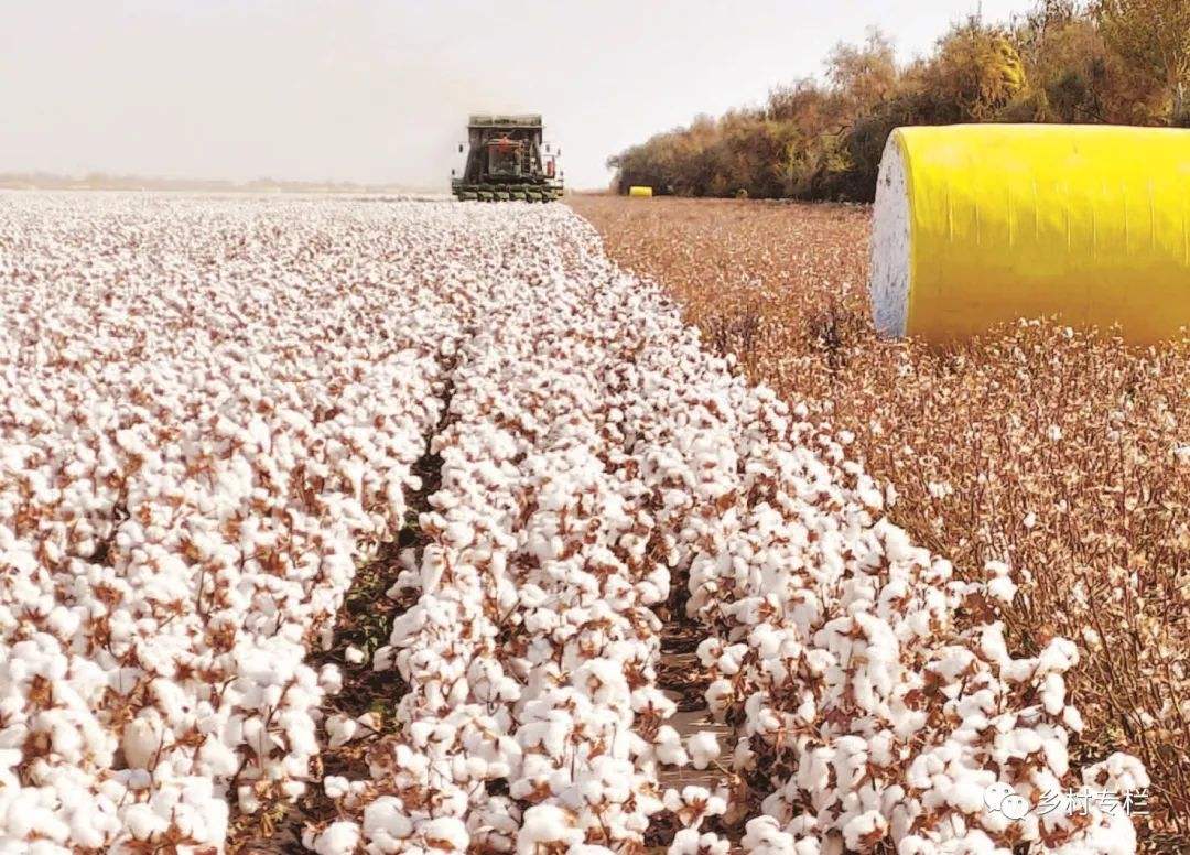 如果战争爆发粮食会值钱吗,如果发生战争我国粮食够吃吗