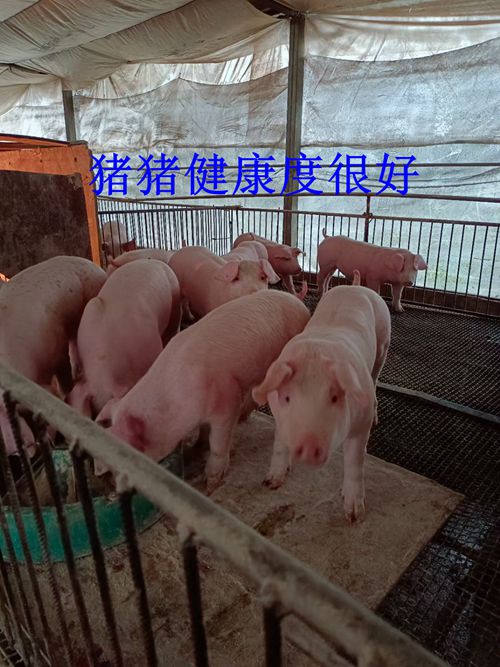 疫情反复波动下，看看这位老板是怎样做到稳步向前的？