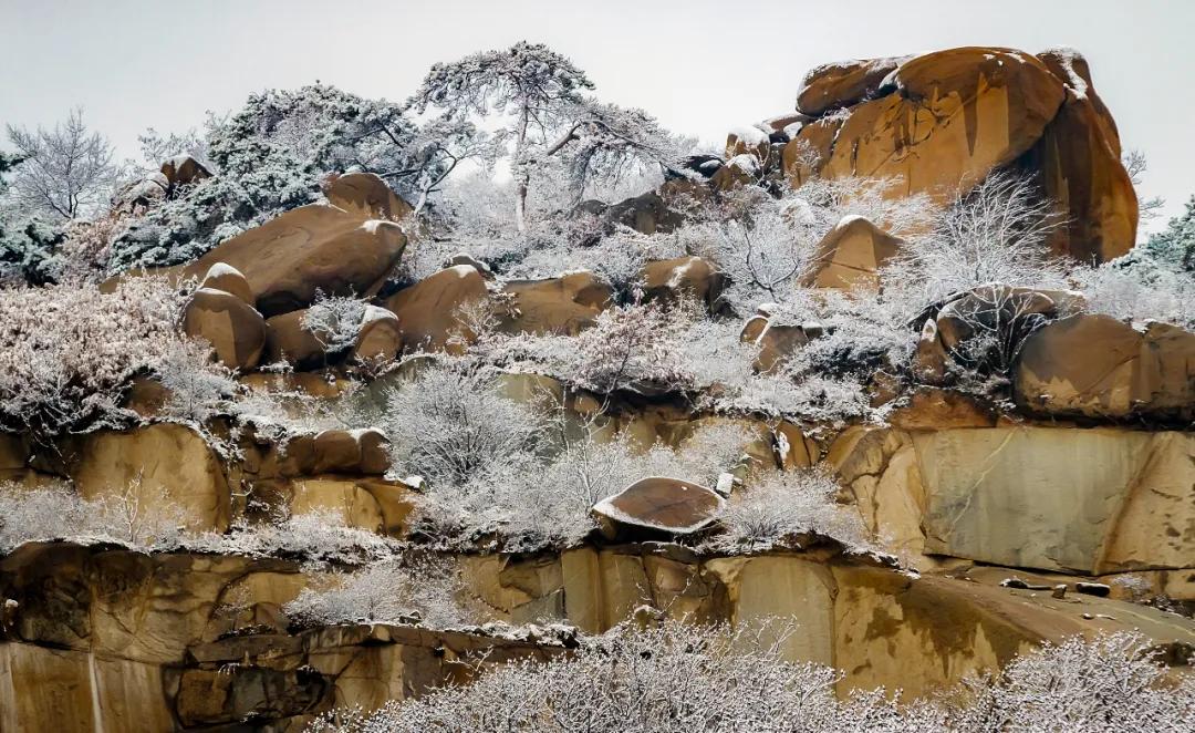 俺莱芜有美景|四季予你诗画香山