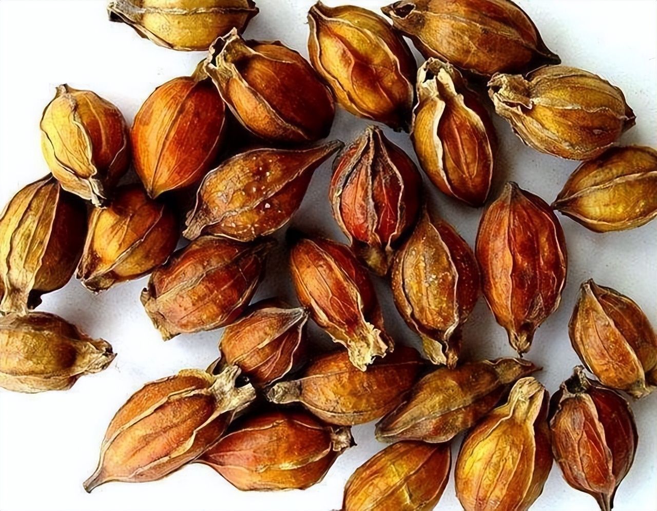 脾胃湿热型糖尿病的中药方剂,脾胃虚寒型糖尿病中药制剂