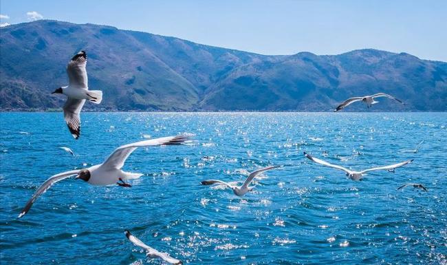 云南跟团旅游怎么合理避坑,卧底随团云南低价游大揭秘