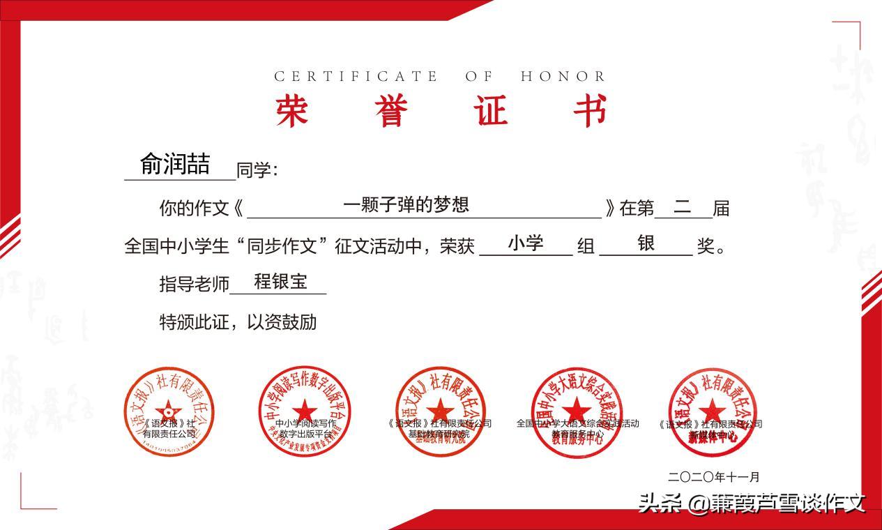 阿宝老师作文,获奖的小学作文300字