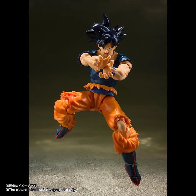 shf美菲拉斯旗舰店,shf美菲拉斯