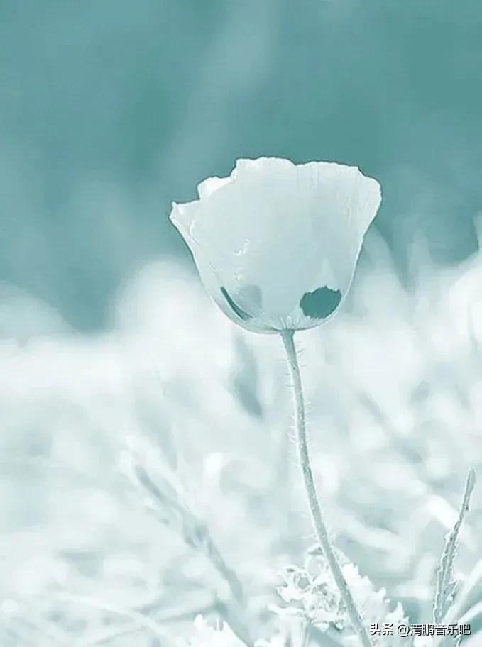 考研复习坚持不了怎么办,考研无望还有必要坚持下去吗