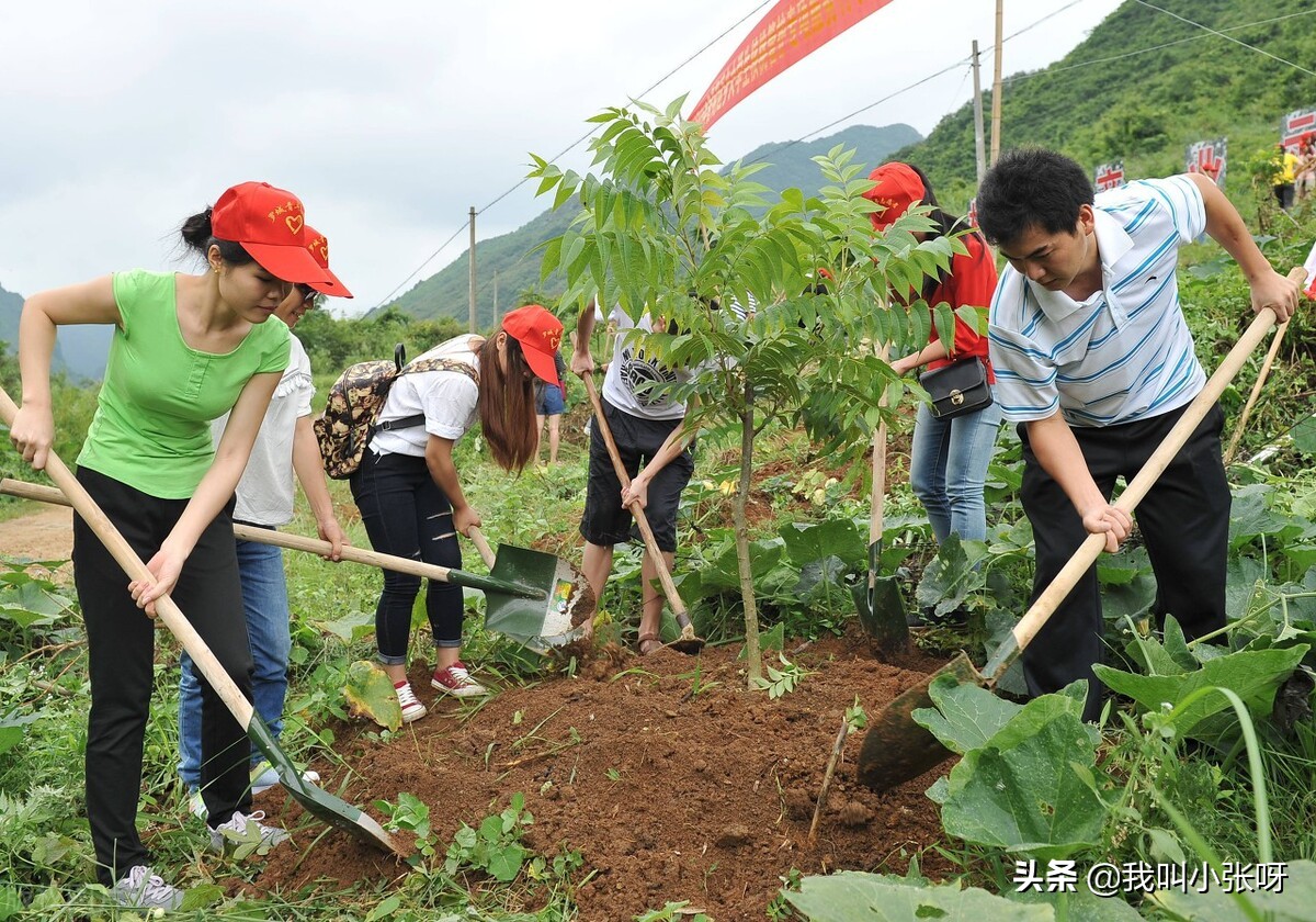 现在大学生都在农村干什么,农村大学生回农村能干点啥