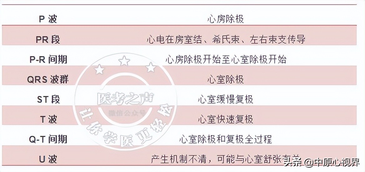 护考几种常见的心电图,常见的心电图图形分析