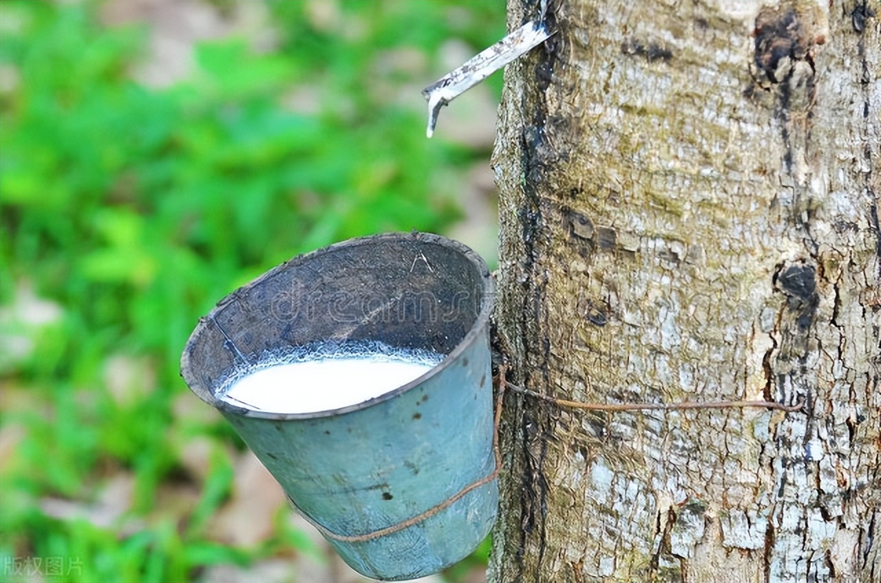 安全套绝对安全吗,安全套为什么那么多油