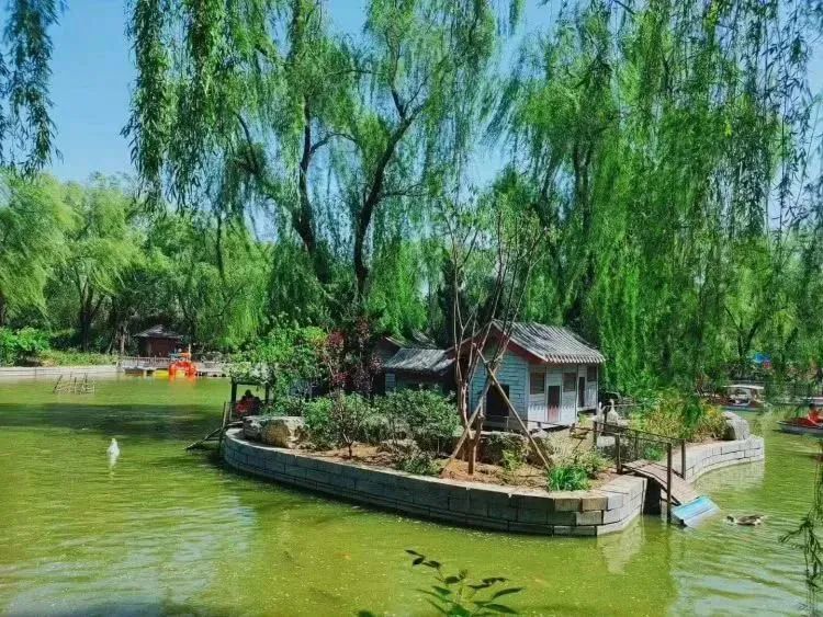 【FENG娱】王佐镇:娱乐+科普+自然,暑假解锁亲子出游新方式!