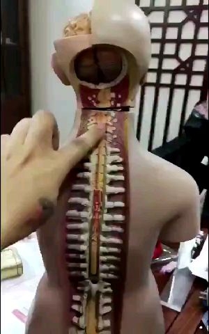 俏管家家政孕期腰酸背痛？这些缓解方法一天一种，亲测超级管用
