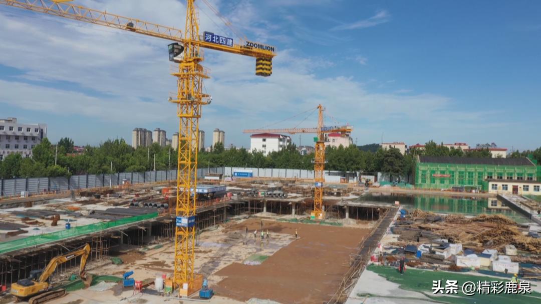 撸起袖子加油干成绩单,撸起袖子加油干努力工作