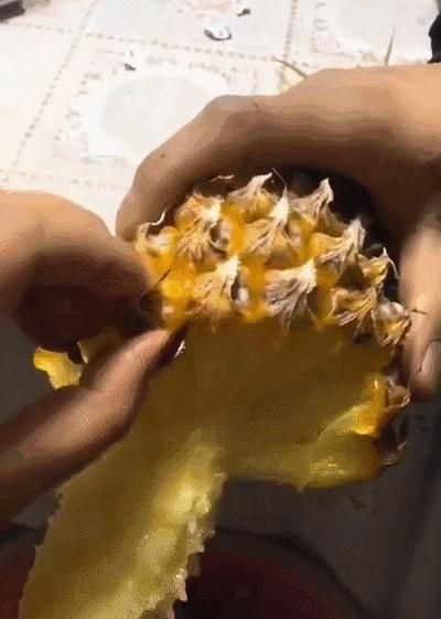 水培凤梨菠萝,菠萝水培最简单的方法