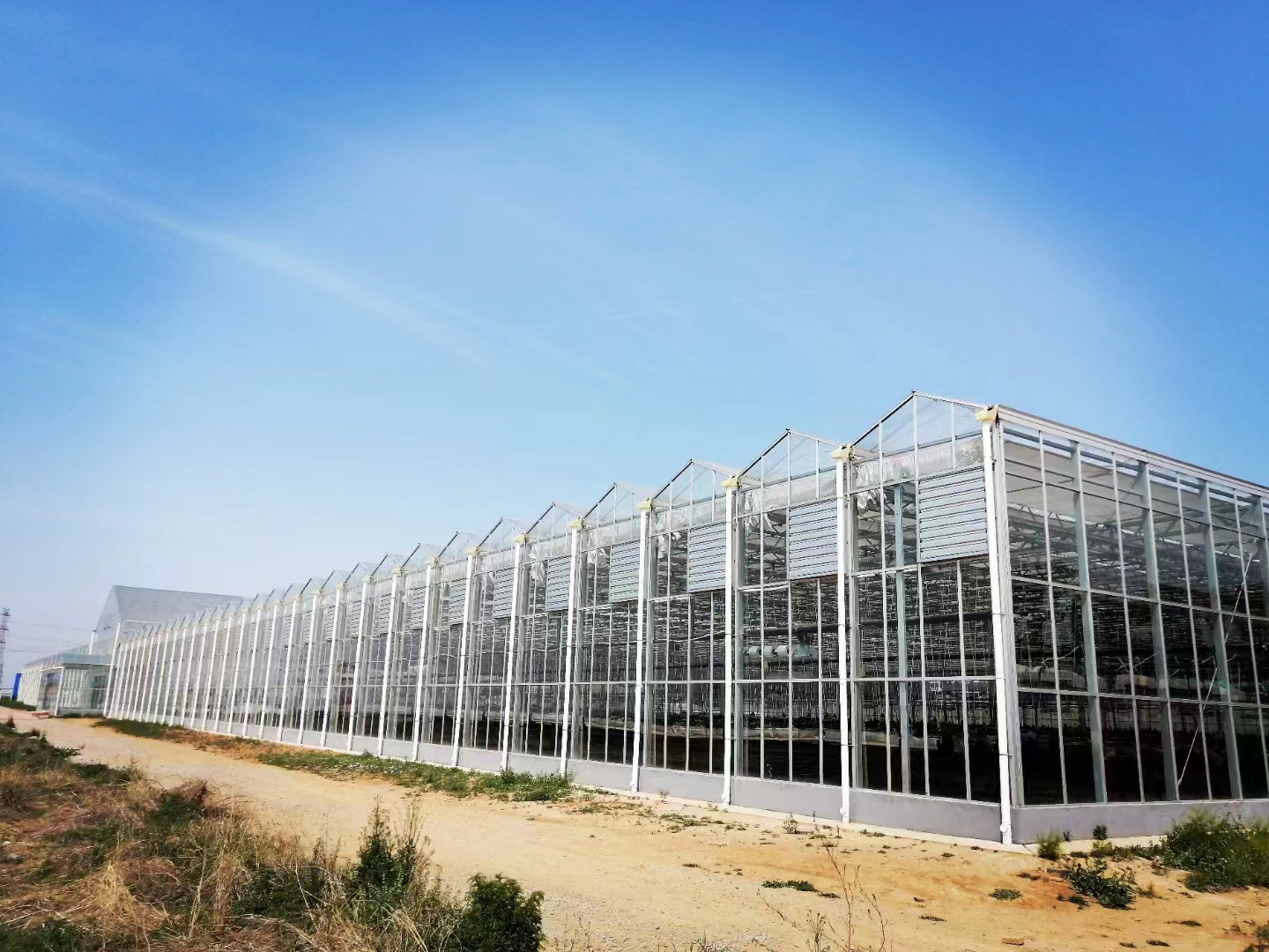 江西物联网智能温室大棚造价表,三门峡智能温室大棚造价多少钱