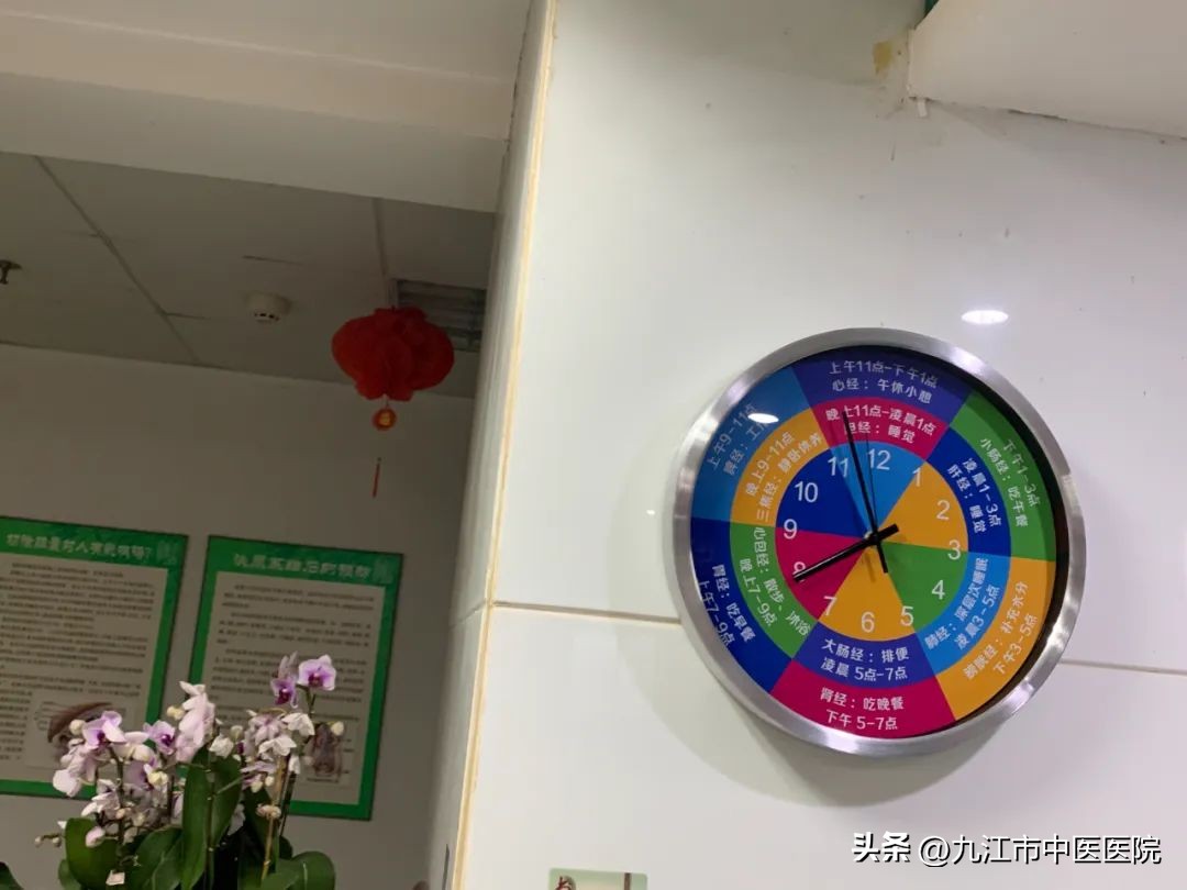 杏林春暖中医视频,杏林春中医诊所主治什么