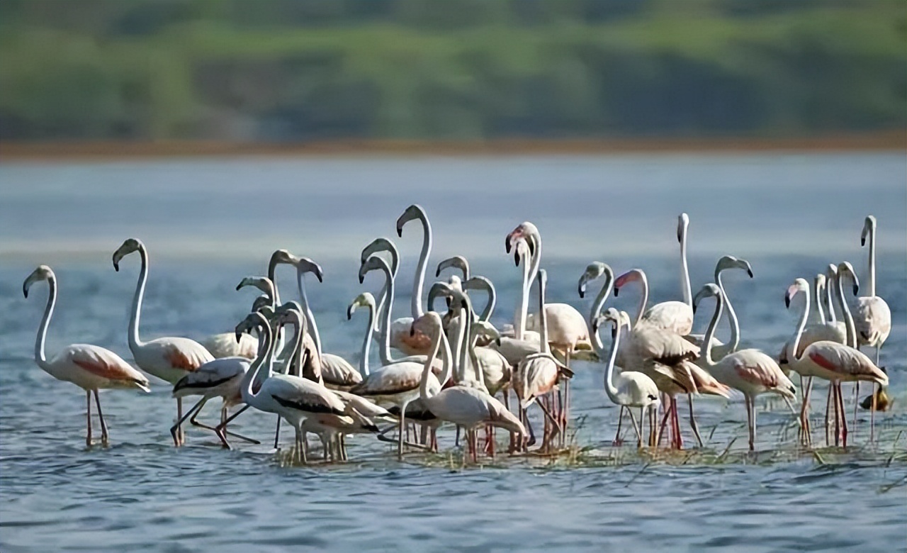 五一3-5天短途旅游推荐报团,五一3-5天短途旅游推荐一个人