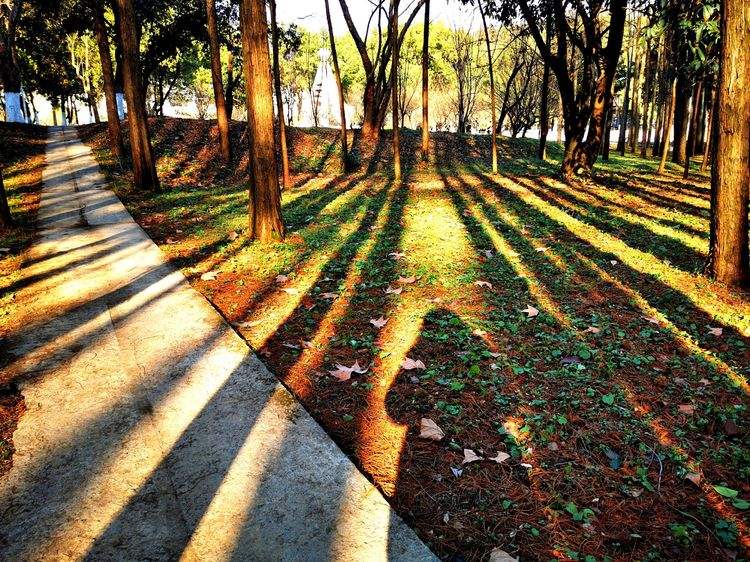 37个食堂五个地铁站口的大学,37个食堂五个地铁口的大学