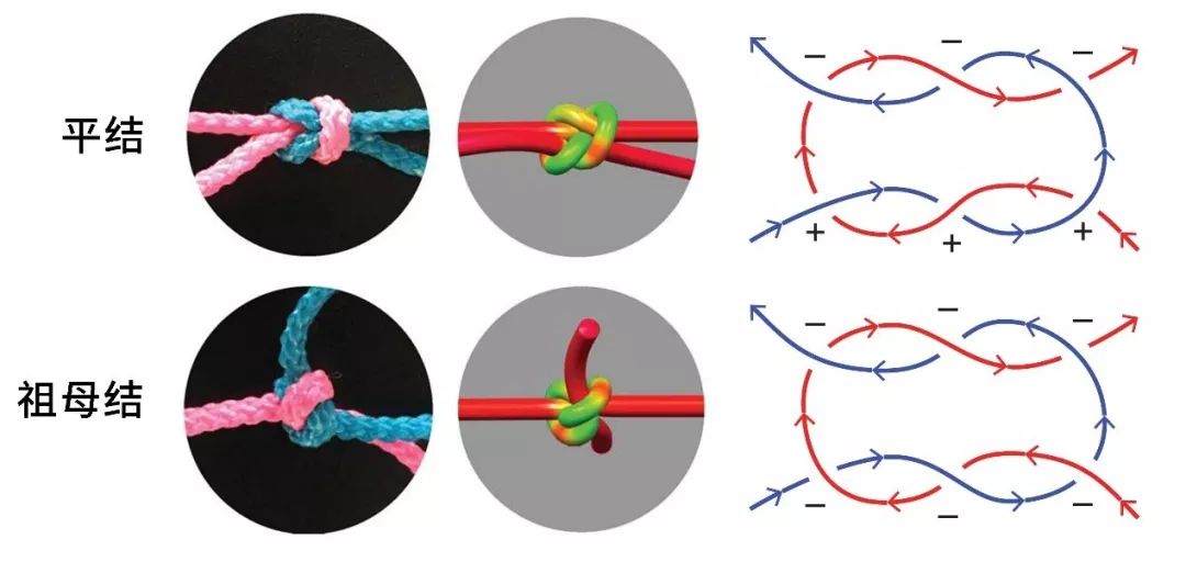 打结的打法和技巧衣服,打结100个方法