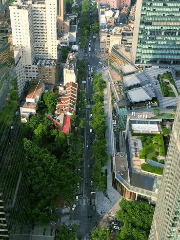 魔都发展史完整版,魔都商业