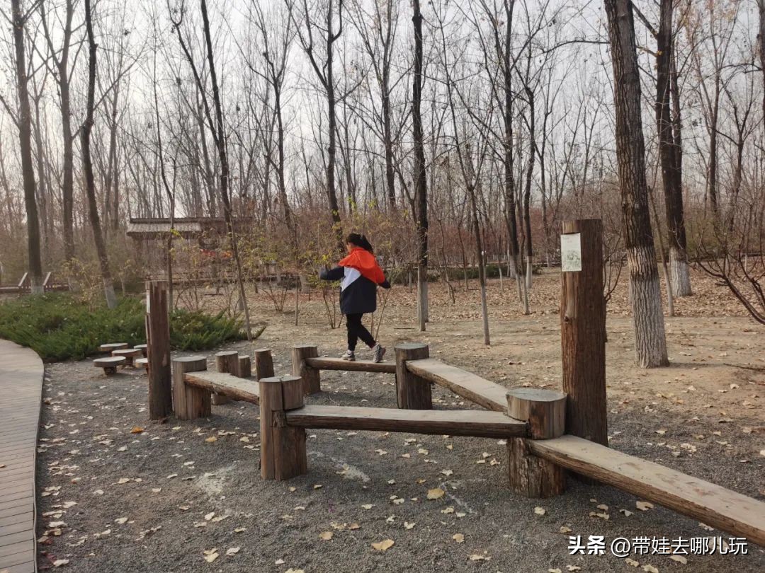 骑行国家森林公园,徒步骑行森林公园