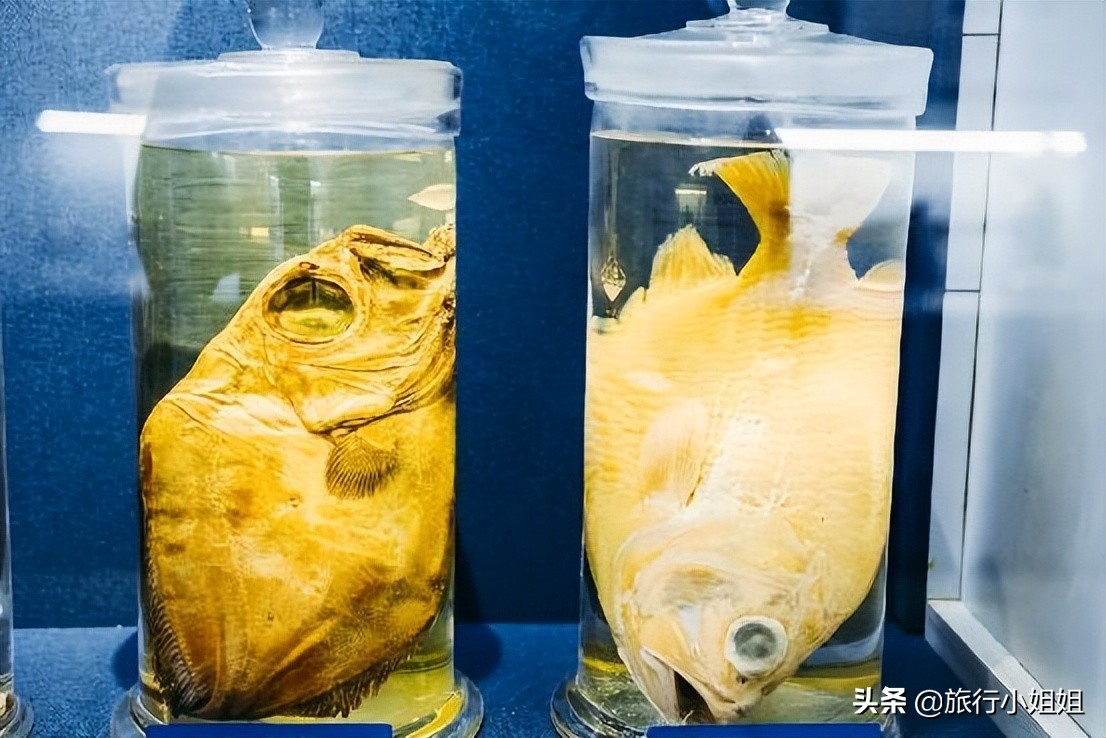 夏日海边微醺氛围感,滨城风光秀丽浪漫气息爆表