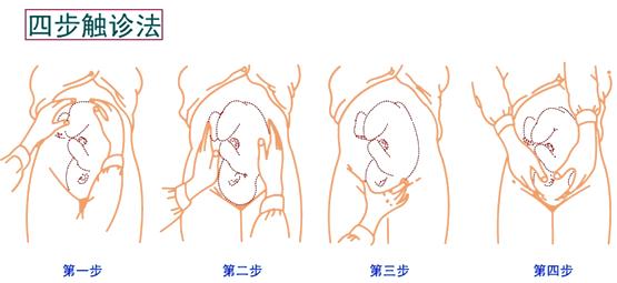 孕妈妈需要经历什么,从怀孕到生需要做多少次产检
