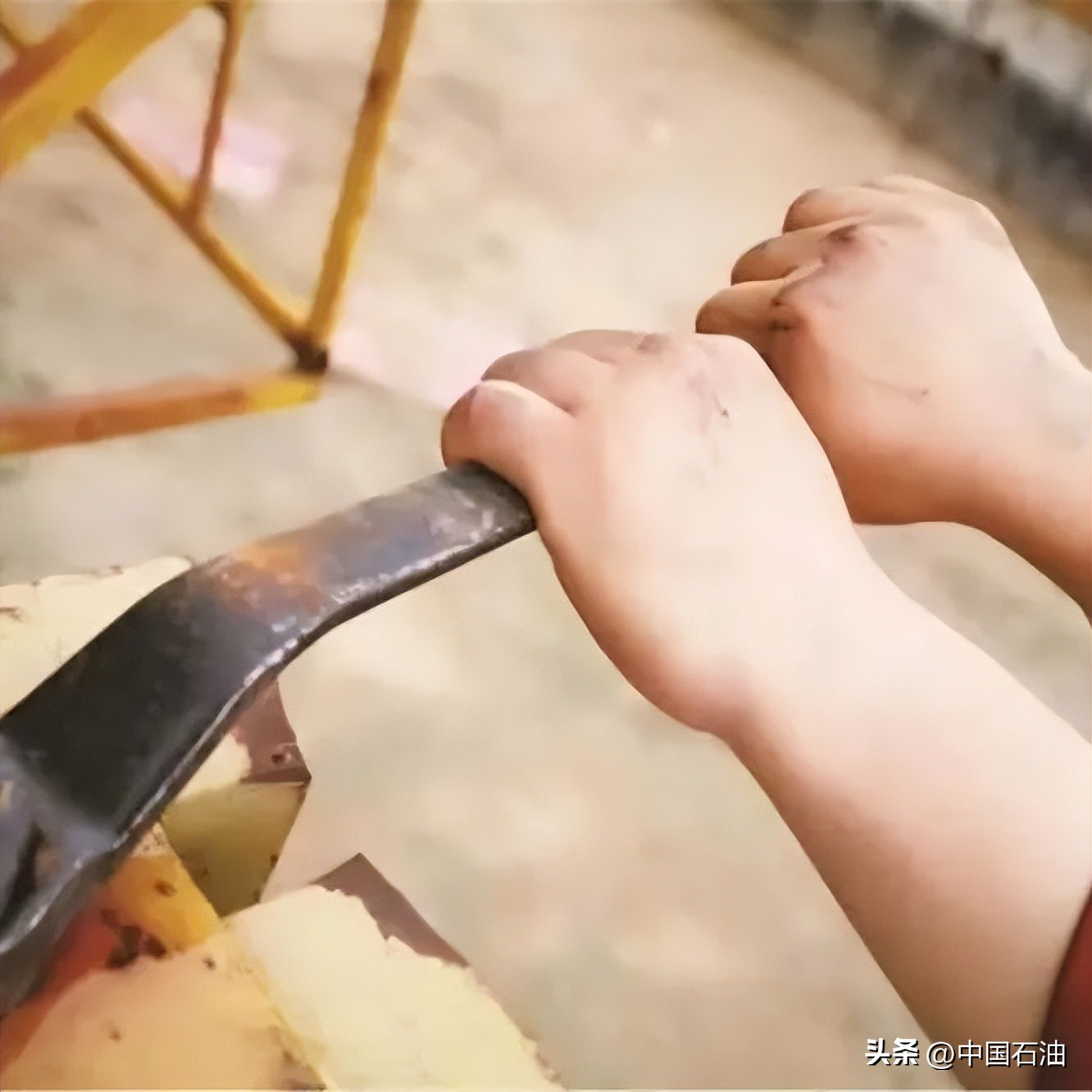 特别策划案例,特别策划系列