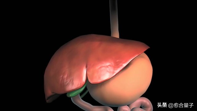 男子口臭如同化粪池,男子口臭严重完整版