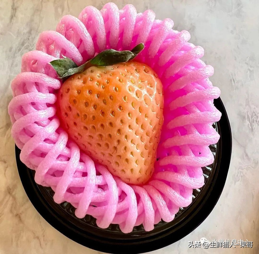 最好吃的白草莓品种前十名,好吃实惠的草莓品种有哪些