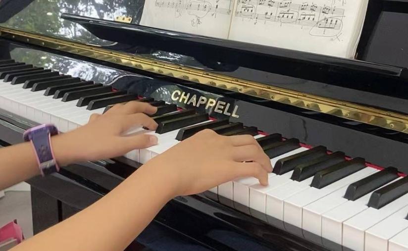 施坦威世界顶级钢琴,夏贝尔钢琴属于什么档次