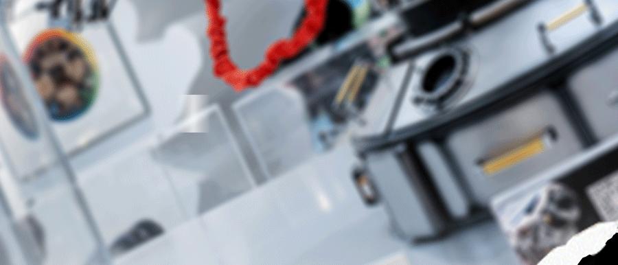 六位数玩偶、30万的AJ，免费送MOLLY，这家潮流店“很来事”