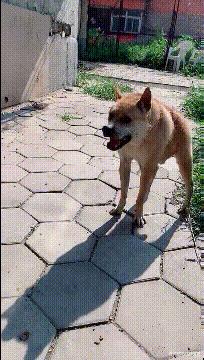 想知道平时的消费在什么价格,想要知道自己什么阶层