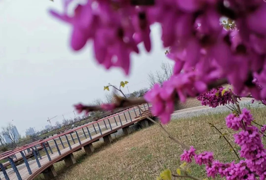 绥阳县育红小学书香随行快乐阅读,共读一本书同做智慧教师读书分享