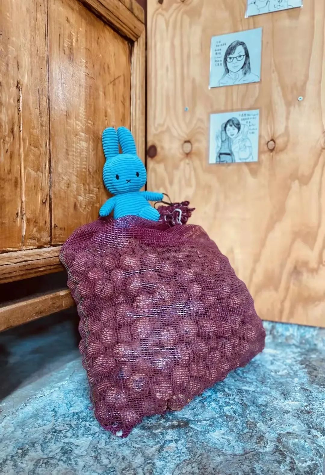 艺哲|大理EcoHouse,一家三口四年零垃圾生活