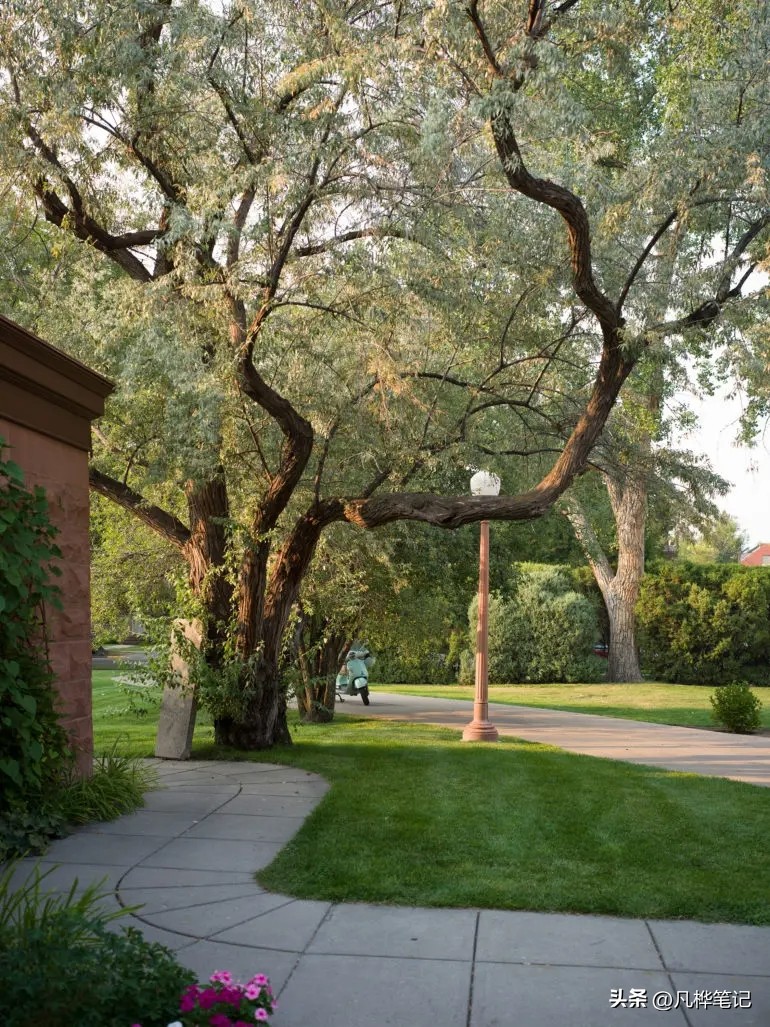 哈苏x2d100c视频,哈苏x2d100c与50c区别