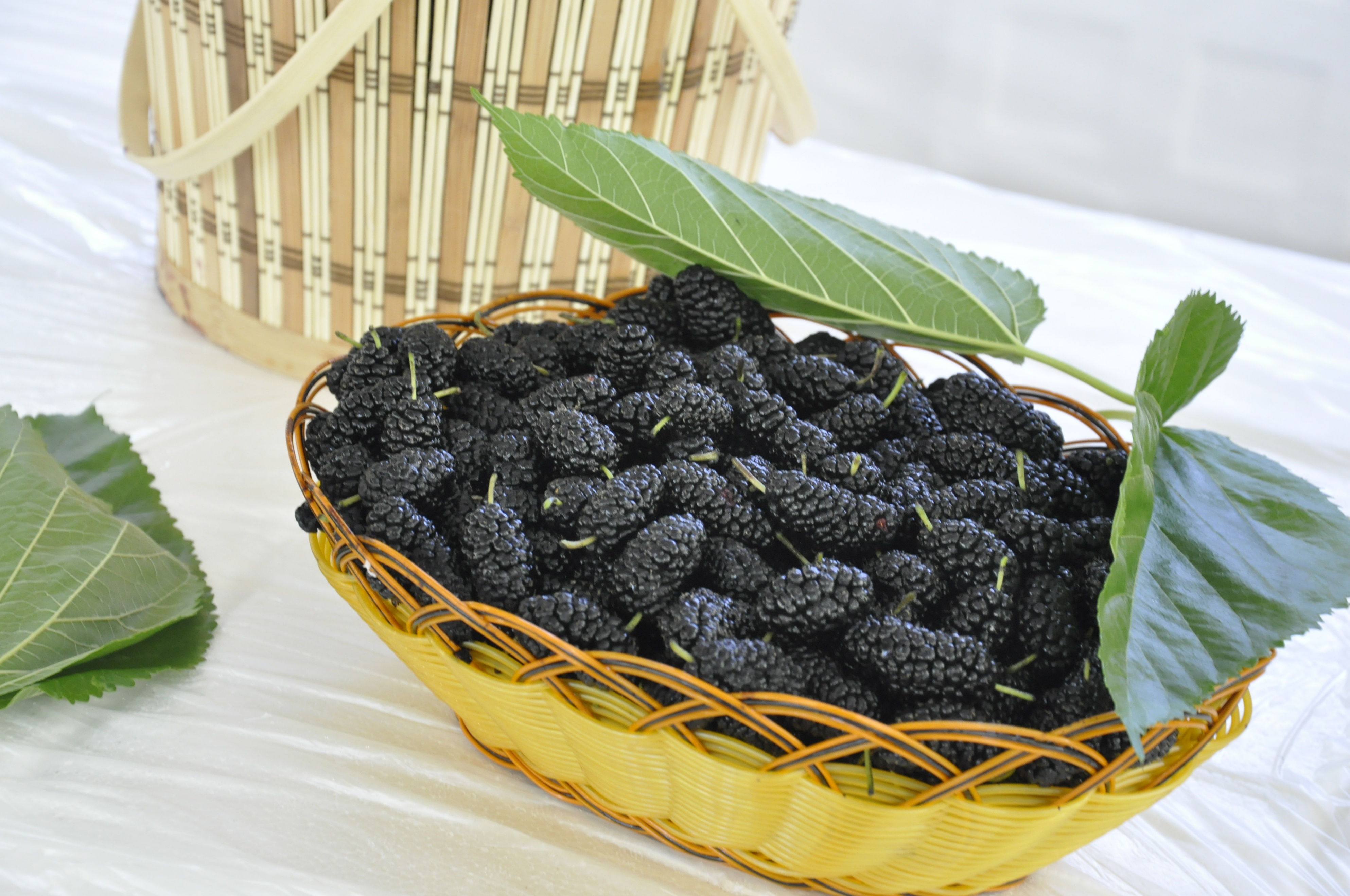 夏天吃哪些既清凉又健康水果,夏天到了这4种水果可多吃消暑