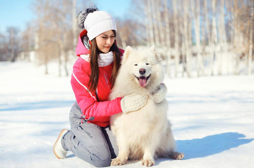 等你家狗狗“老”了，主人做好这8点，可以大大延长它们的寿命