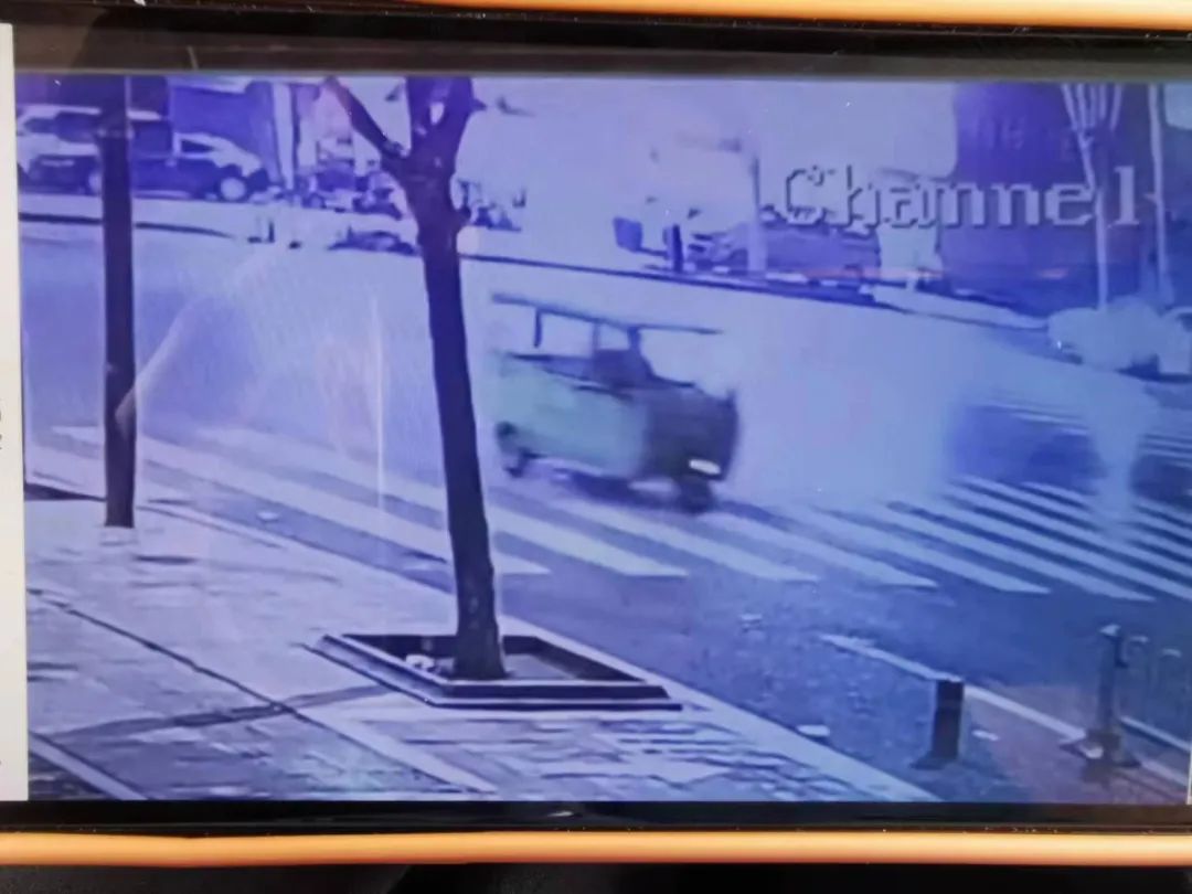 百日突击行动,百日行动抓盗猎