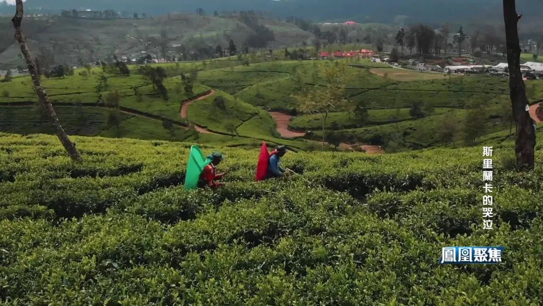 印度洋斯里兰卡的眼泪,斯里兰卡动荡原因